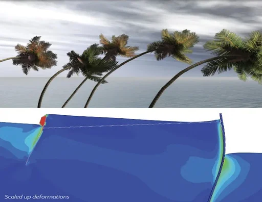 sismico.png.jpg